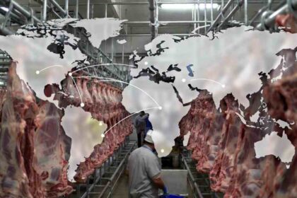 Exportações de carne bovina do Brasil batem recorde em fevereiro
