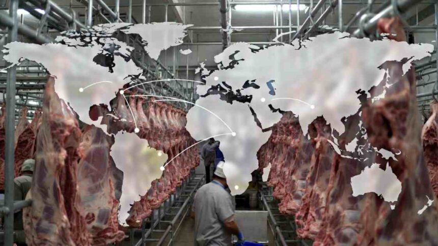 Exportações de carne bovina do Brasil batem recorde em fevereiro