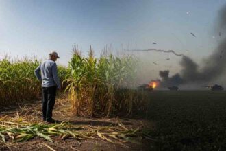 Guerra no Irã: Preço da ureia dispara e pressiona produção de alimentos no Brasil