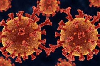 Cicada: Nova subvariante da Covid-19 já circula em 23 países