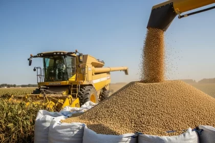 Colheita da soja no Brasil avança e alcança 82% da área plantada