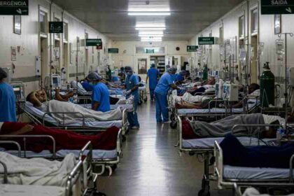 Dourados decreta calamidade pública após epidemia de Chikungunya no MS