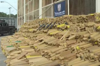 PM do Rio apreende quase 50 toneladas de maconha no Complexo da Maré