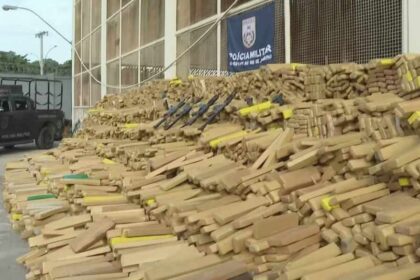 PM do Rio apreende quase 50 toneladas de maconha no Complexo da Maré
