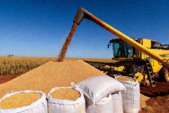 Valor Bruto da Produção agropecuária deve atingir R$ 1,385 trilhão em 2026