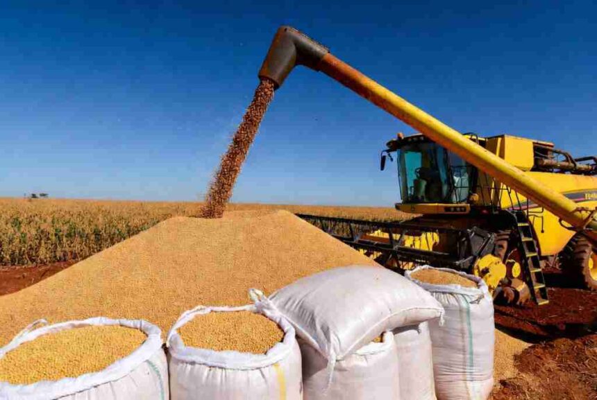 Valor Bruto da Produção agropecuária deve atingir R$ 1,385 trilhão em 2026