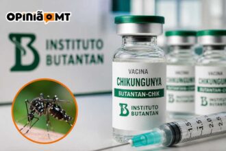 Instituto Butantan vai produzir vacina nacional contra Chikungunya