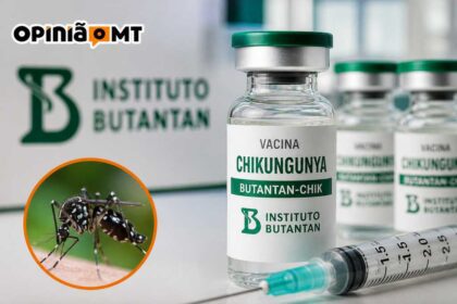 Instituto Butantan vai produzir vacina nacional contra Chikungunya