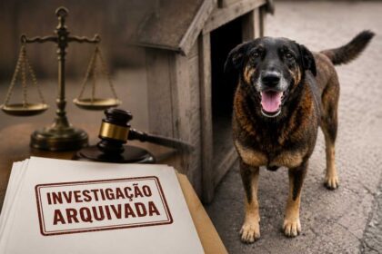 Justiça arquiva investigação sobre morte do cão Orelha em Florianópolis