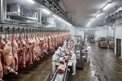 Exportações de carne bovina do Brasil para a China caem 89,83% em agosto