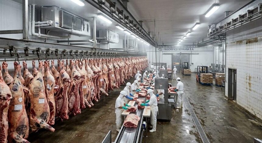 Exportações de carne bovina do Brasil para a China caem 89,83% em agosto