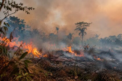 Amazonas registra alta de 271% nos focos de incêndio em outubro